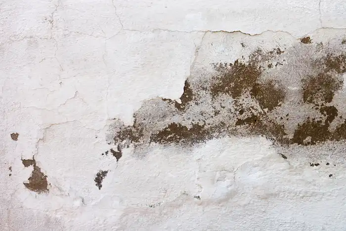 pared dañada