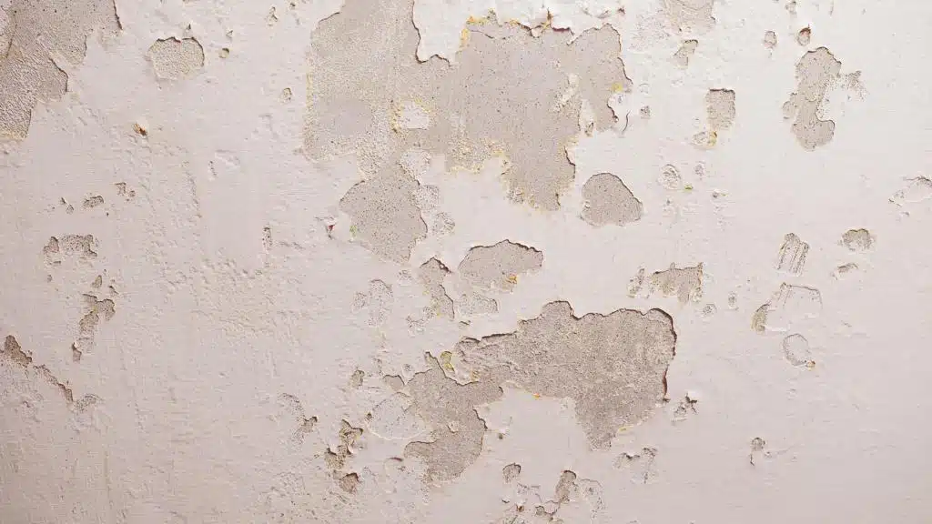 pared desconchada