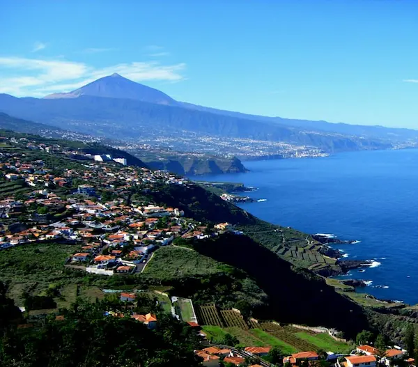 humedades tenerife