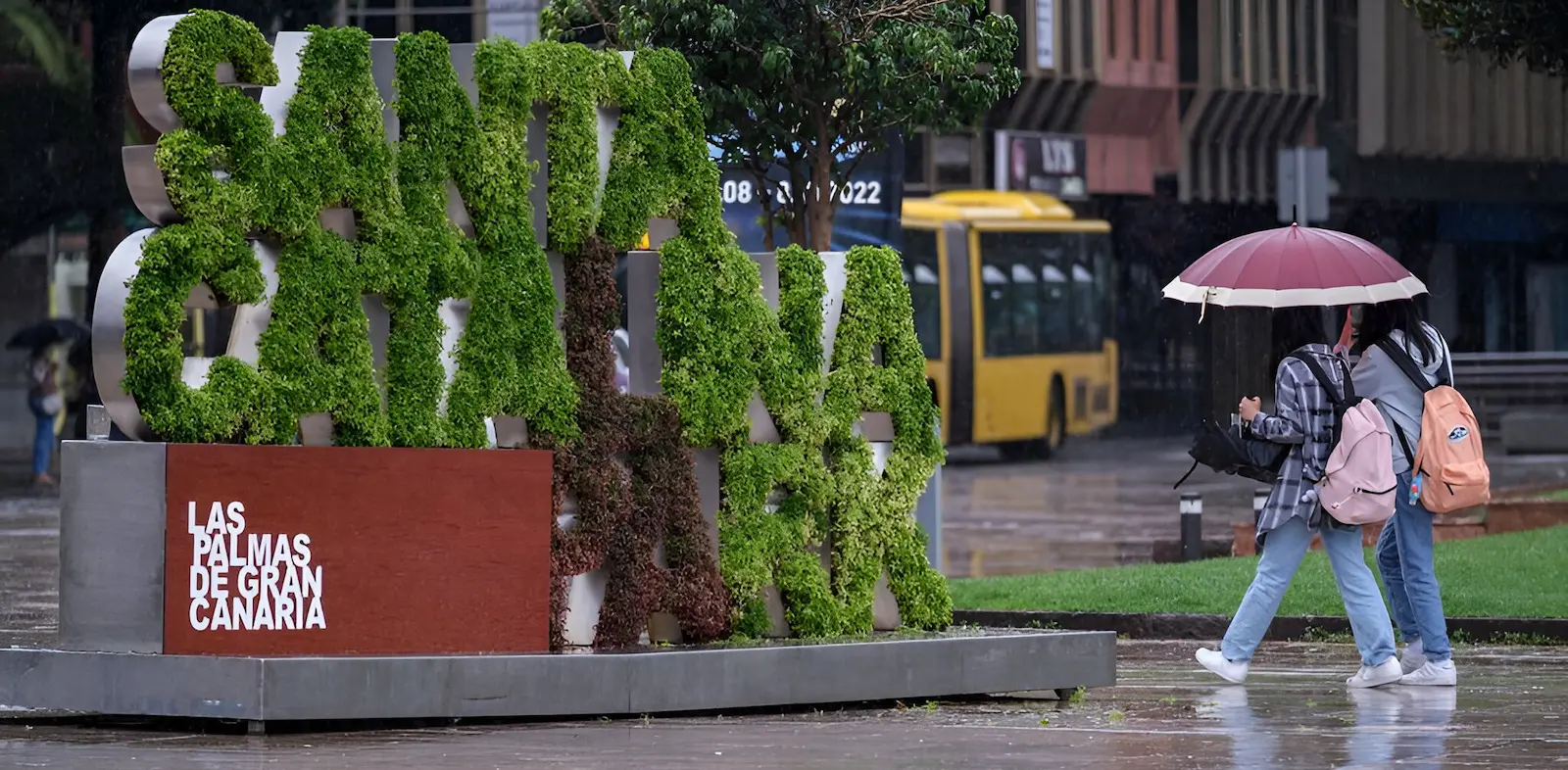 empresa humedades las palmas gran canaria