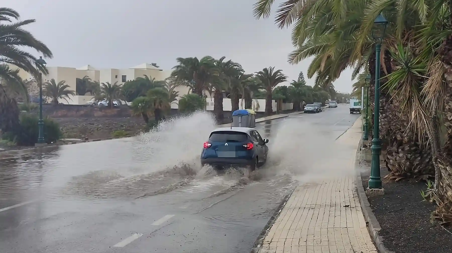 empresa humedades lanzarote