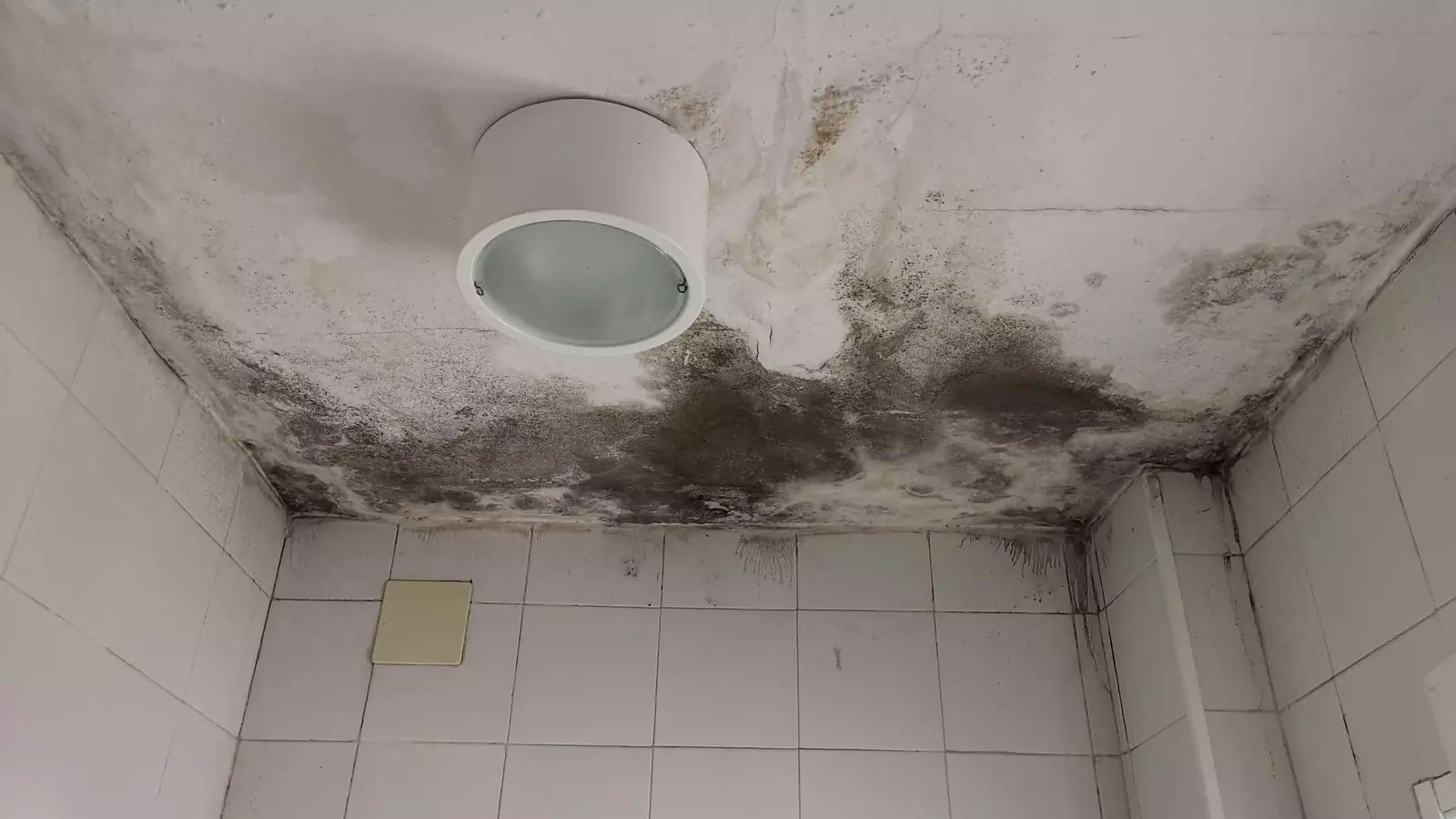 Control de humedades en Huelva - Humedades en centro de salud Alosno y de Beas